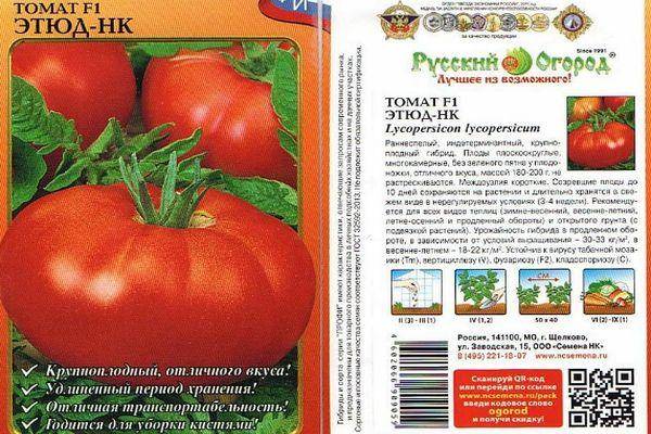 Характеристика томата Этюд-НК и выращивание гибрида