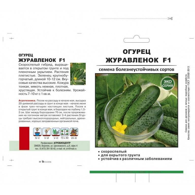 Огурцы наташа: описание и характеристика сорта, урожайность с фото