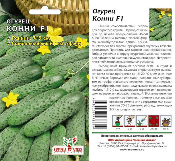 Сорт огурцов чайковский: описание, характеристика, выращивание и уход