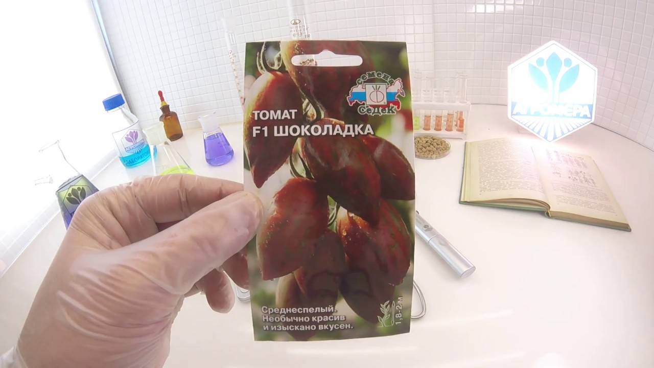 Семена томат сладкая гроздь шоколадная: описание сорта, фото