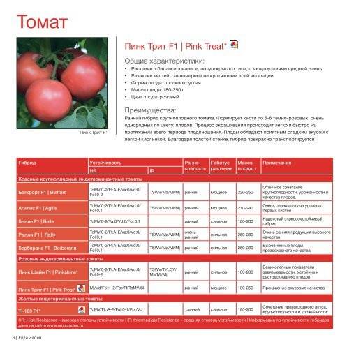 Характеристика и описание сорта томата пинк импрешн, его урожайность - всё про сады