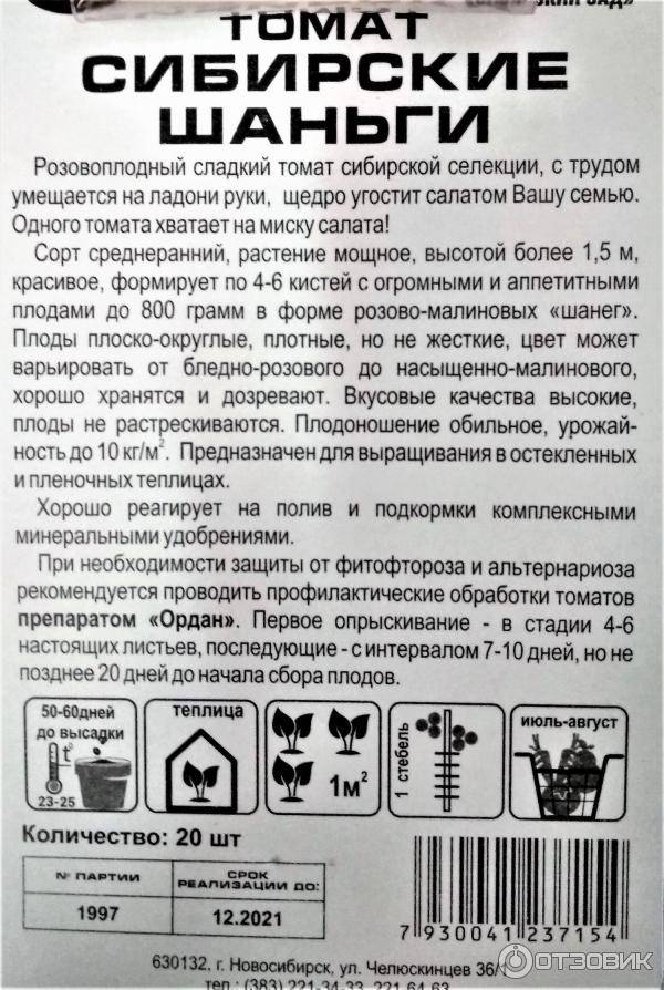 Помидор сибирские шаньги - описание сорта с фото, характеристика, урожайность отзывы, кто сажал видео