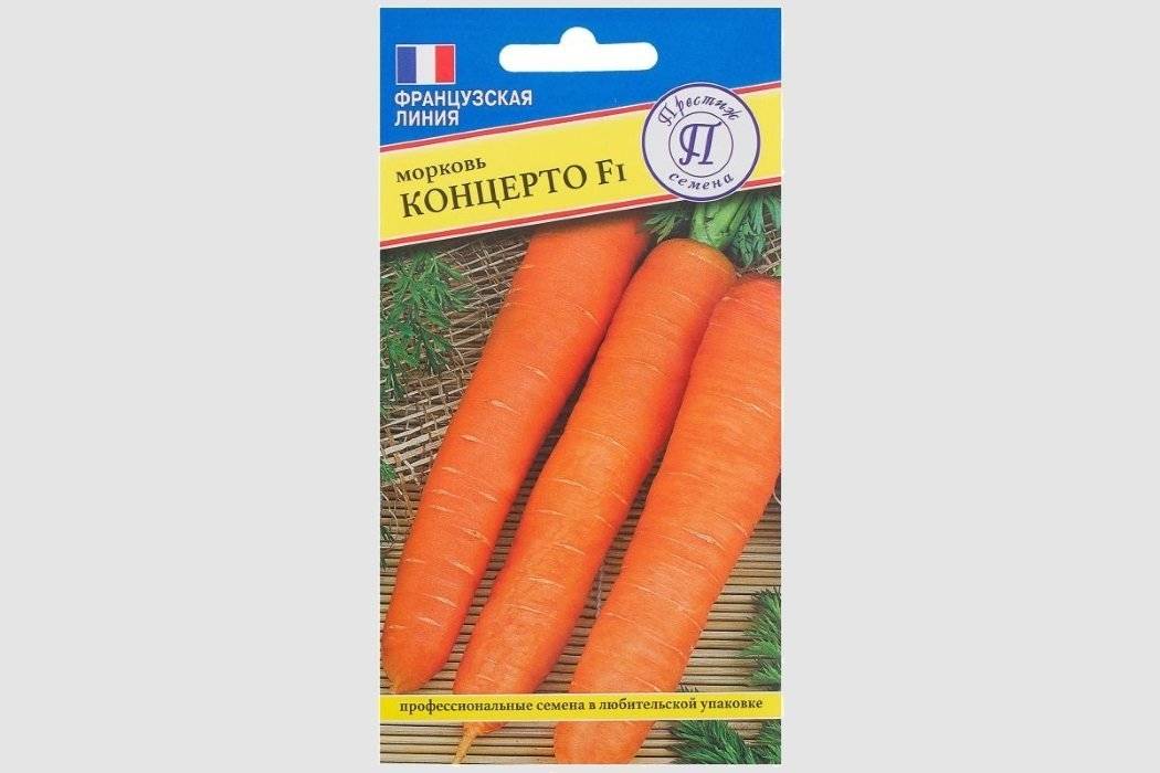 Самые лучшие семена моркови: обзор, характеристики и отзывы :: syl.ru