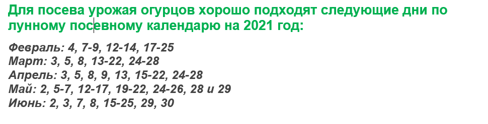 Благоприятные дни для посадки огурцов по лунному календарю в мае 2021 года. посадка огурцов на рассаду в 2021 году: благоприятные дни когда сажать