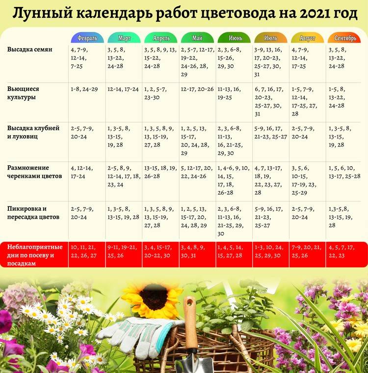 Выращивание сладких перцев по лунному календарю 2022 года: посев, пикировка, высадка рассады, уход и сбор урожая