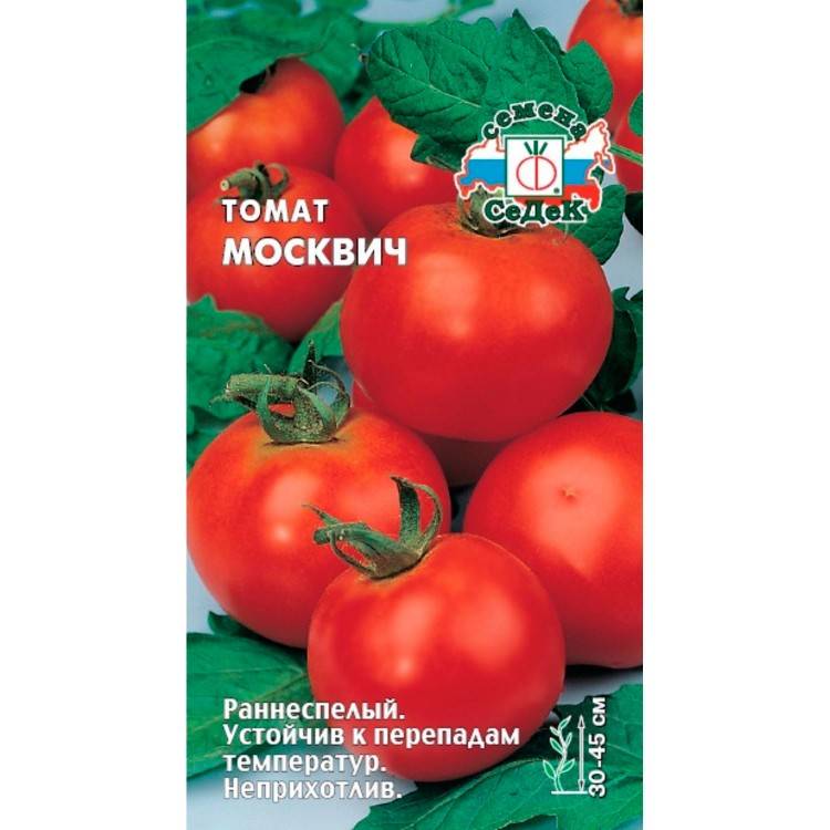 Томат москвич: описание сорта, фото, отзывы, выращивание