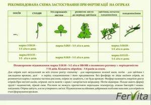 График подкормки огурцов. Схема удобрений томатов и огурцов. Таблица подкормки томатов и огурцов. Схема подкормки огурцов в теплице. Схема внесения удобрений для томатов в теплице.