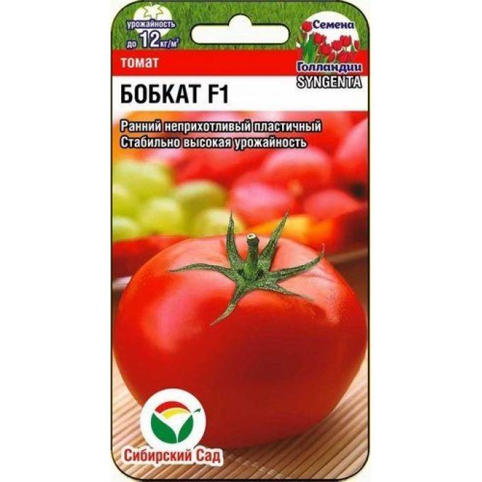 Урожайность — да, болезни — нет! за что голландский томат «бобкат» полюбили российские садоводы?