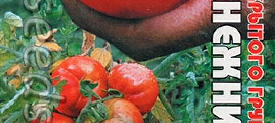 Характеристика и описание сорта томата подснежник, его урожайность