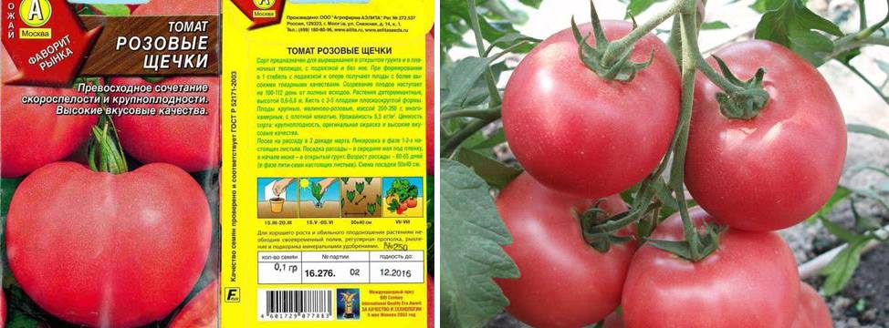 Томат розовые щечки: отзывы, фото полученного урожая, а также секреты его выращивания от опытных дачников
