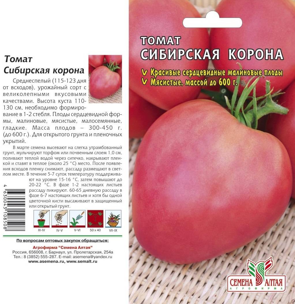 Характеристика и описание томата “ранний розовый”
