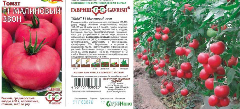 Описание сорта томата малиновый натиск, особенности выращивания - все о фермерстве, растениях и урожае