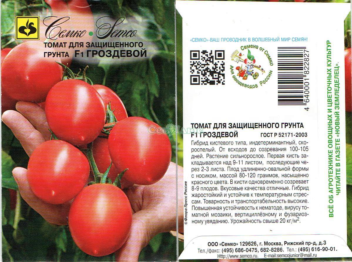 Сорт станет фаворитом на любой грядке — томат делишес: описание помидоров и их характеристики