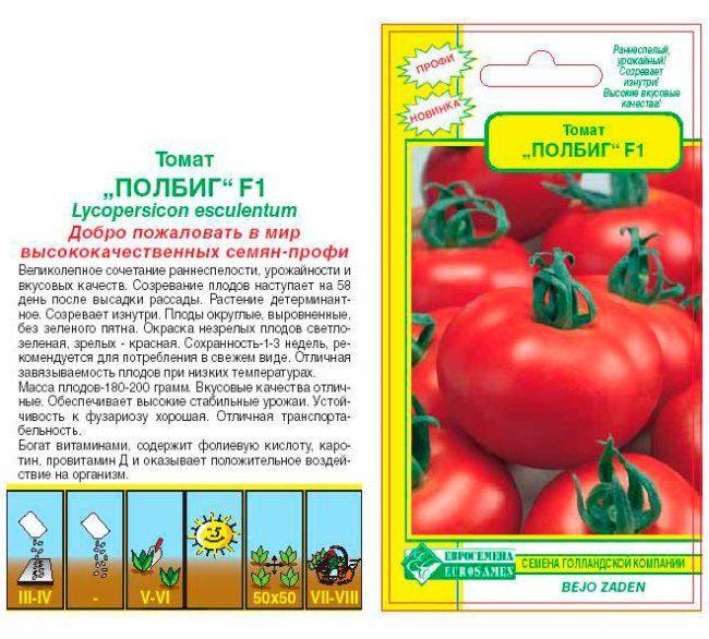 Описание гибридного сорта томата фаворит и выращивание растения на участке. характеристика сорта томатов дачный любимец