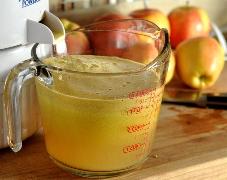Как приготовить сок из яблок на зиму: этапы заготовки яблочного сока через соковыжималку в домашних условиях