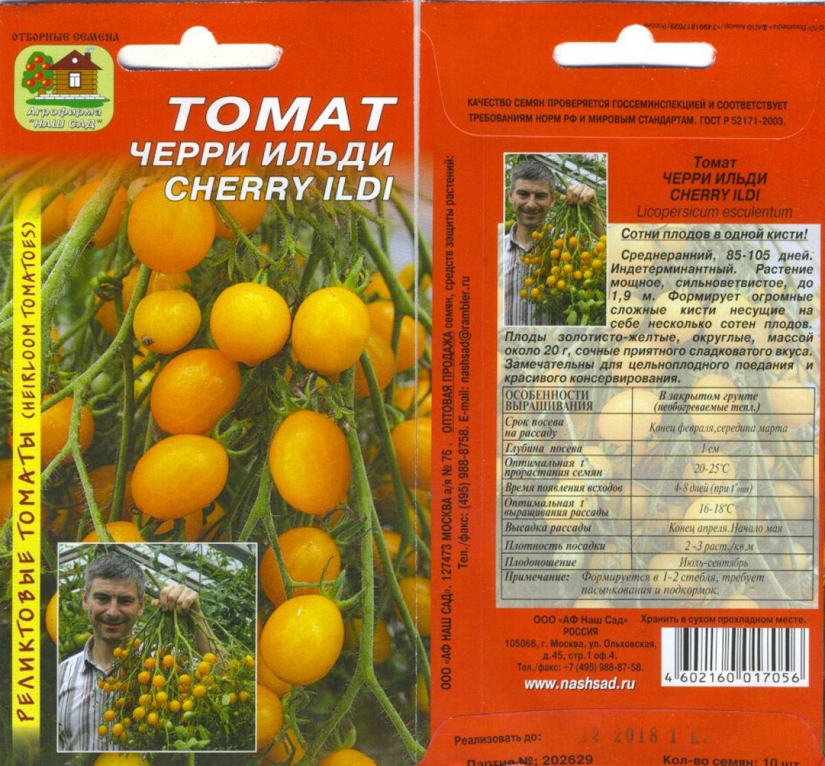 Желтые мясистые плоды — томат медовый ароматный: характеристика и описание сорта