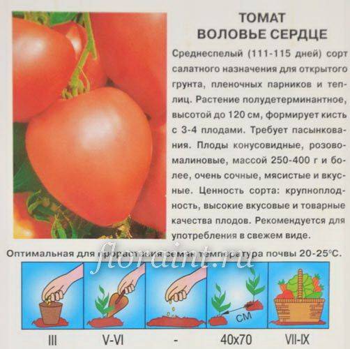 Томат пальмира описание и характеристика сорта его урожайность с фото