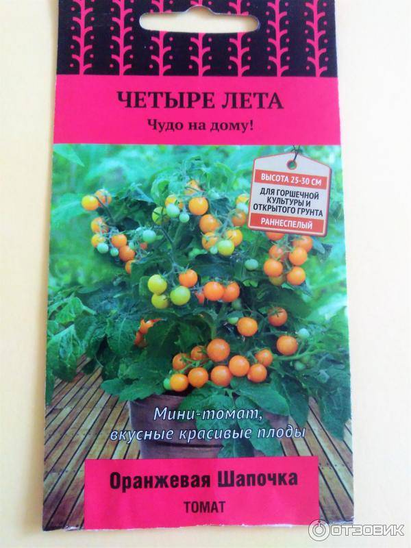 Описание мини-томатов Оранжевая шапочка и выращивание рассадным методом