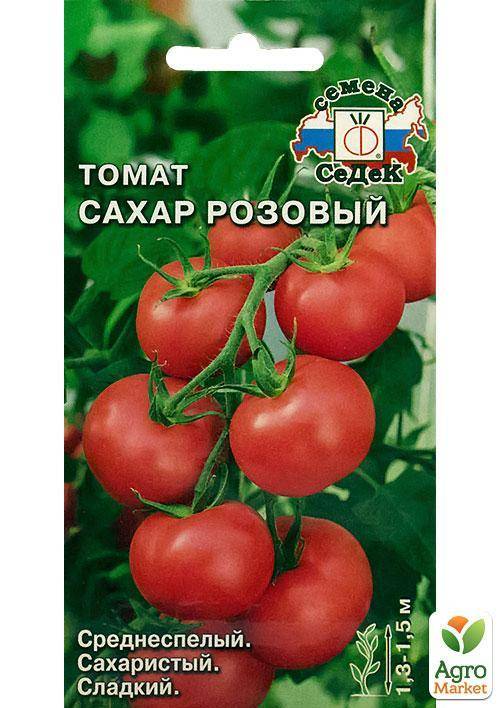Характеристика томата сахарная слива малиновая и выращивание сорта