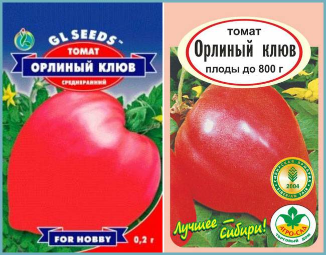 Сорт томатов орлиный клюв: описание, выращивание, отзывы дачников