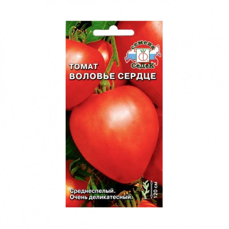Вкусный, сочный и ароматный гигант на грядке — томат «воловье сердце»
