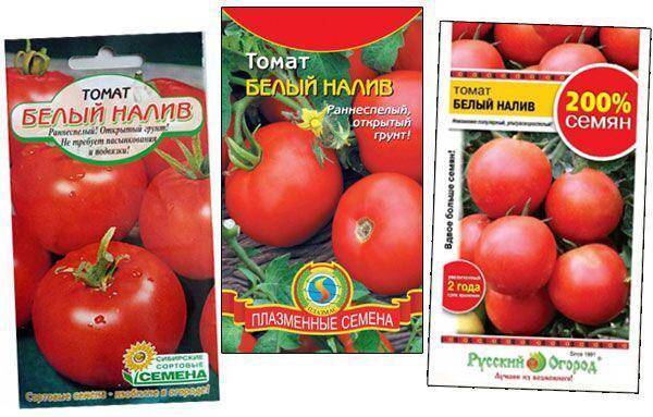 Томат белый налив - 115 фото, описание, характеристики и рекомендации как выращивать правильно старинный сорт помидоров