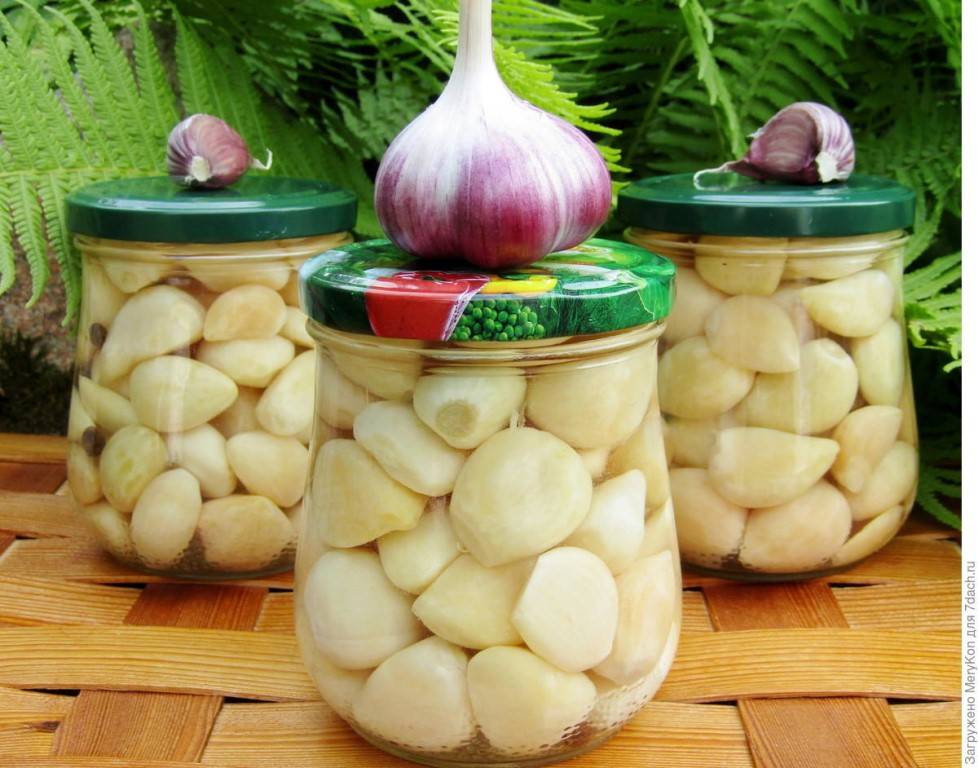 Салат из огурцов на зиму: топ-6 рецептов, кулинарные советы