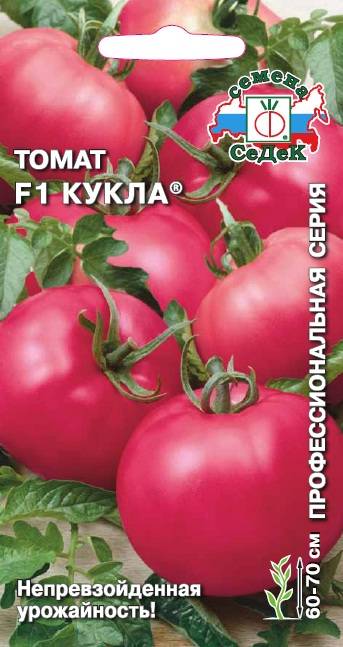 Сорт томата «кукла маша f1»: описание, характеристика, посев на рассаду, подкормка, урожайность, фото, видео и самые распространенные болезни томатов