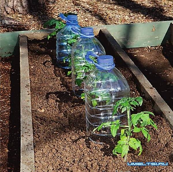 Как сделать капельный полив из пластиковых бутылок