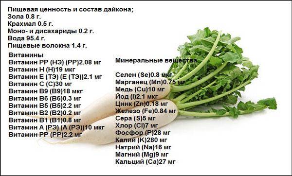 Польза и вред дайкона для организма человека: чем ценна белая редька, каковы свойства корня этого овоща для здоровья женщин и мужчин, какие противопоказания?