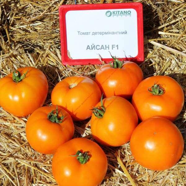 Описание, характеристика, посев на рассаду, подкормка, урожайность, фото, видео и самые распространенные болезни томатов сорта «восход f1».