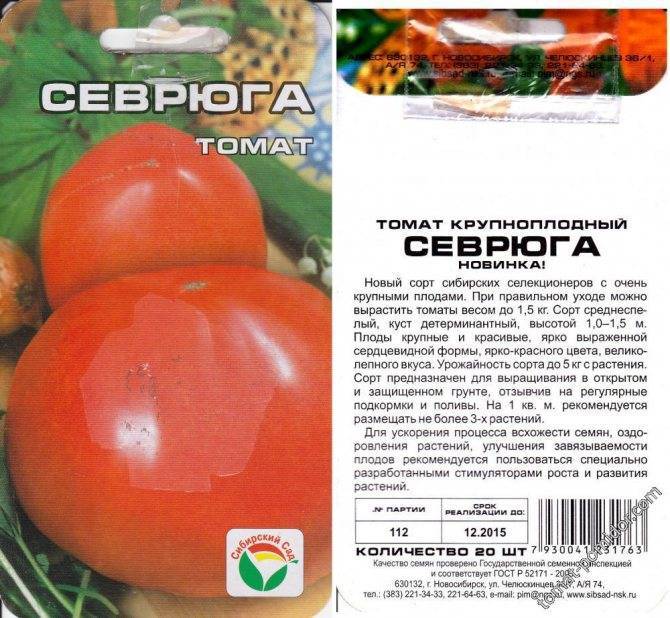 Описание сорта томата Севрюга (Пудовик), его характеристика и урожайность
