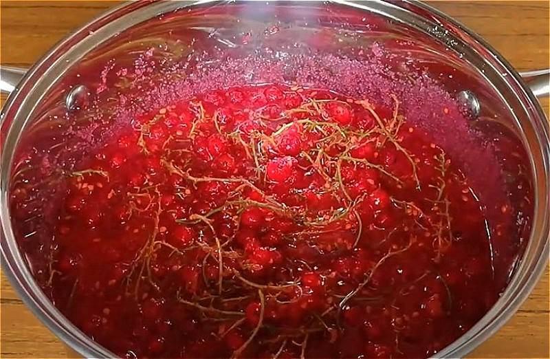 Желе из красной смородины на зиму – 8 простых пошаговых рецептов густого лакомства