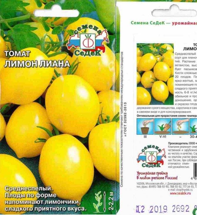 Томат гигант лимонный — фото + отзывы