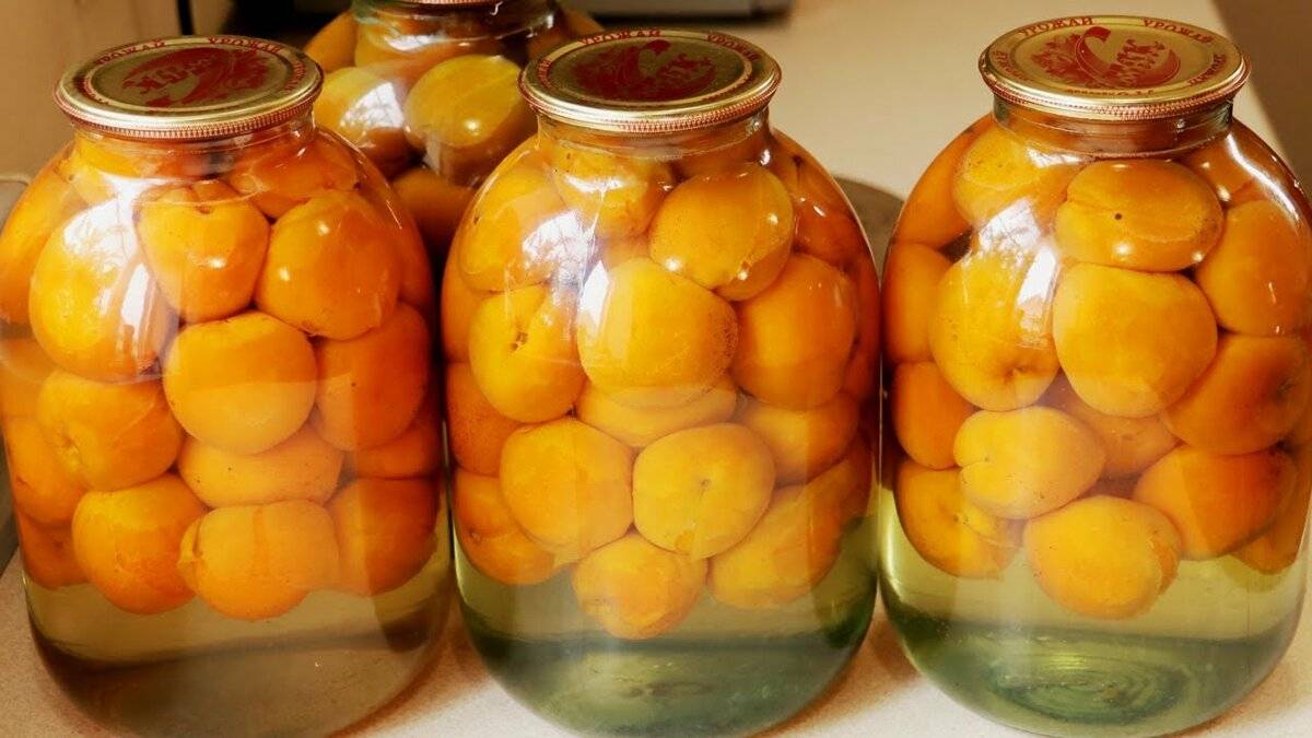 Компот из нектаринов на зиму: 9 простых рецептов
