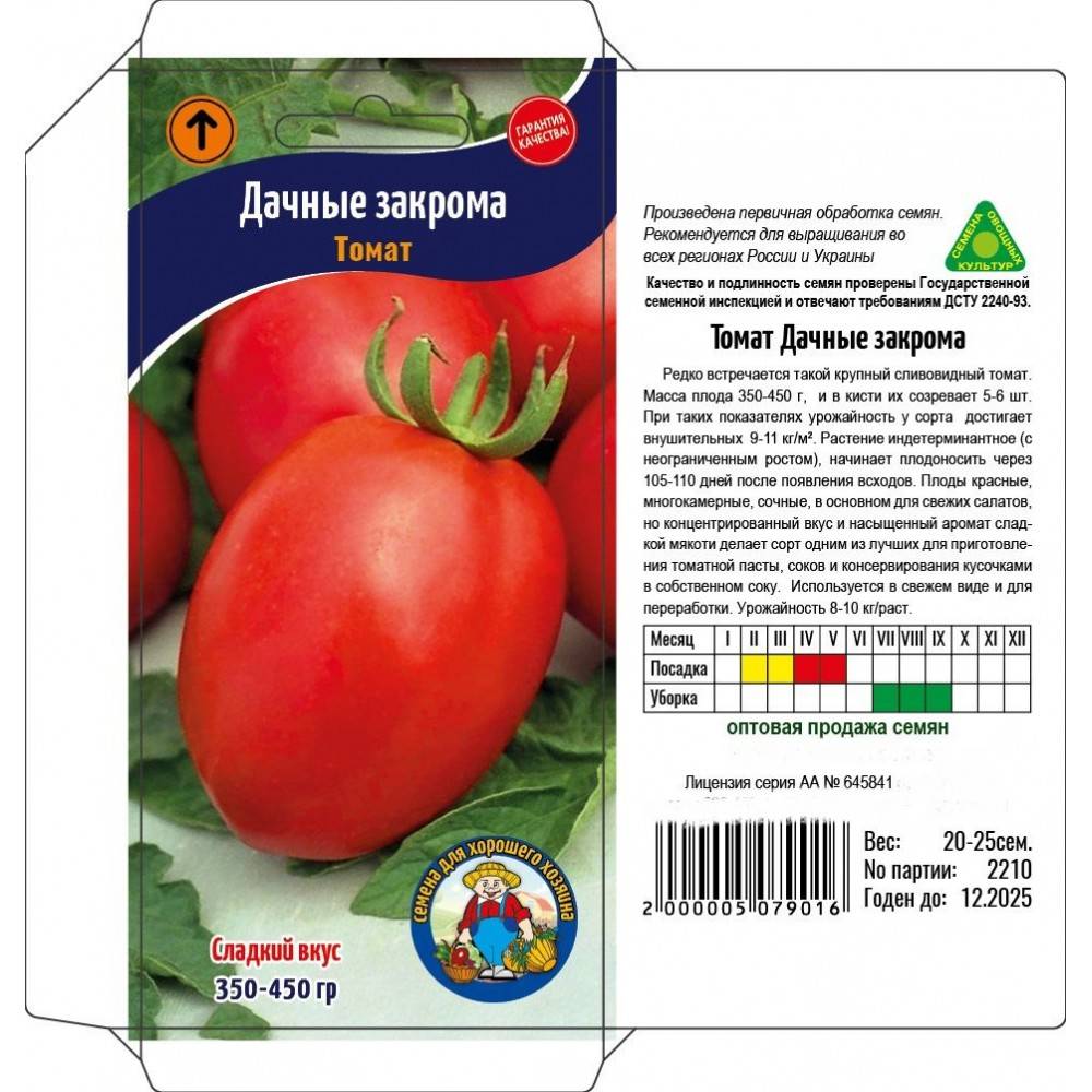 Описание сливовидных крупных томатов Дачные закрома и особенности выращивания сорта