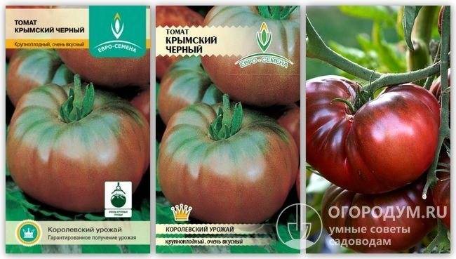Описание среднераннего томата Черный Крым, выращивание в теплице и открытом грунте