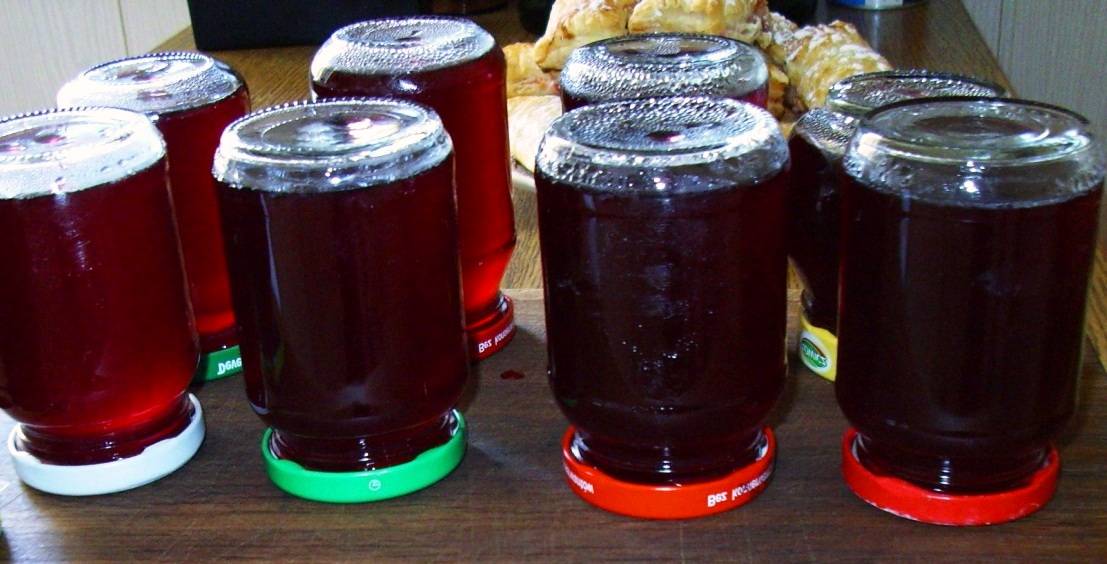 Виноградный сок на зиму: простые и самые лучшие рецепты консервирования