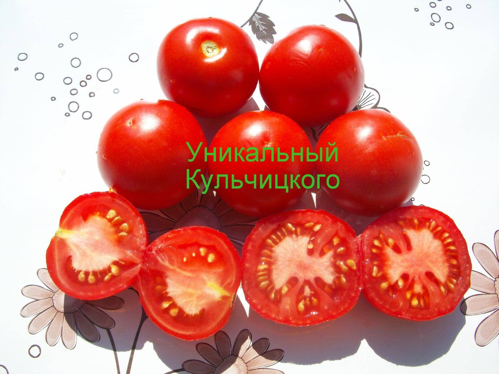 Описание раннеспелого и урожайного томата Уникальный Кульчицкого