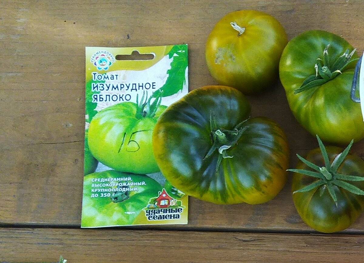 Описание томата Изумрудное яблоко, выращивание рассады и борьба с вредителями