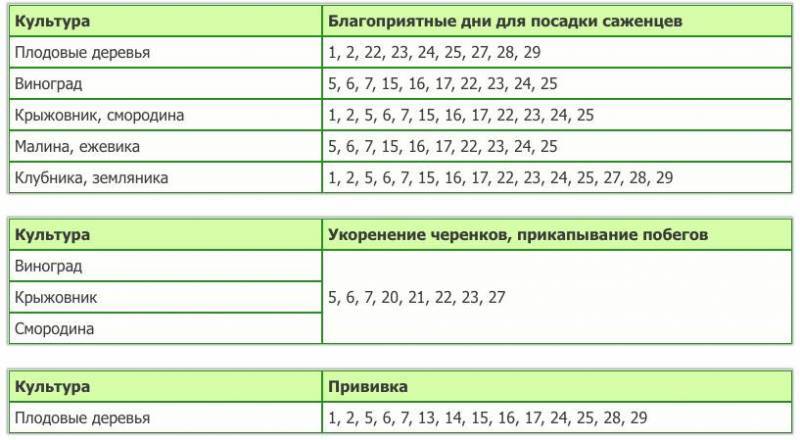 Посадка огурцов в мае 2021 по лунному календарю: благоприятные дни