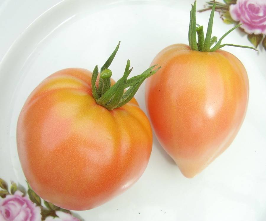 Оранжевая клубника – немецкий томат высокого качества. рекомендации по выращиванию и описание