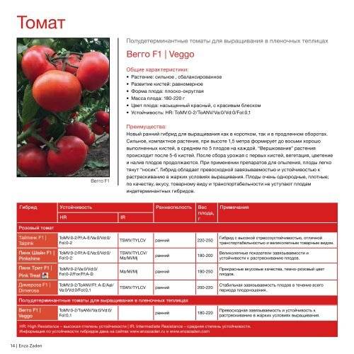 Томат виагра: отзывы, фото, урожайность, описание и характеристика