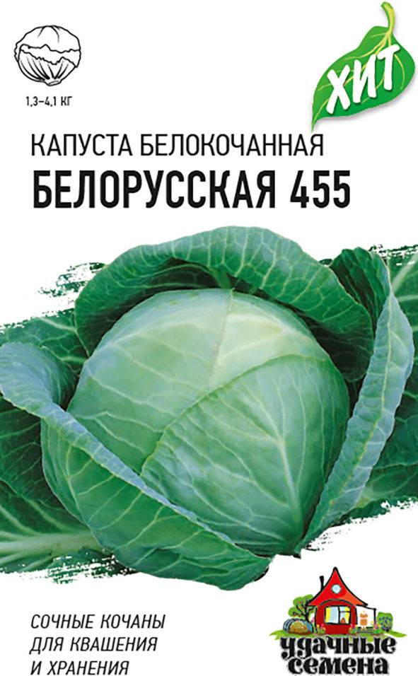 Капуста белорусская 455, 85: характеристика и описание сорта, отзывы
