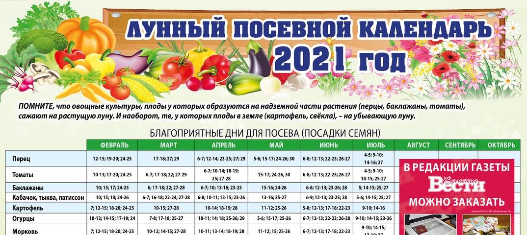 Лунный календарь садовода и огородника на сентябрь 2021