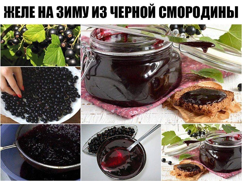Желе из смородины, красной и черной - рецепты смородинового желе, много! | волшебная eда.ру