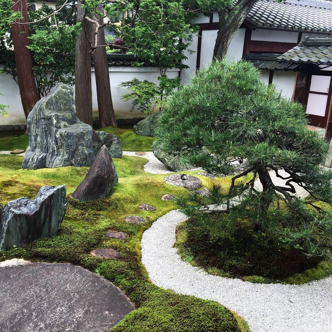 Композиция японского сада камней ???? на небольшом участке своими руками - фото ландшафта
