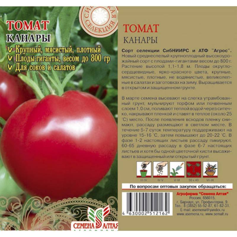 Томат алтайский шедевр: описание сорта, фото помидоров и отзывы тех, кто их выращивал