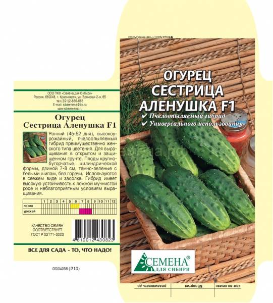 Сорт огурцов «алекс f1»: рекомендации по выращиванию от посева до сбора урожая