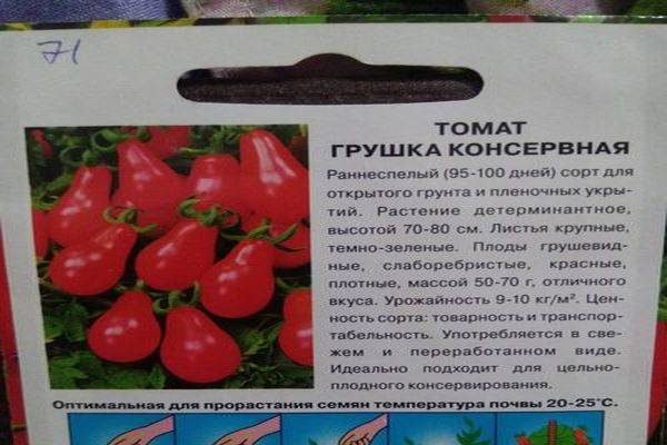 Томат пани яна: характеристика и описание сорта, отзывы, фото, урожайность - все о помидорках